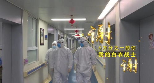 “守護(hù)天使”公益律師武漢上崗，為醫(yī)護(hù)筑起法律后盾